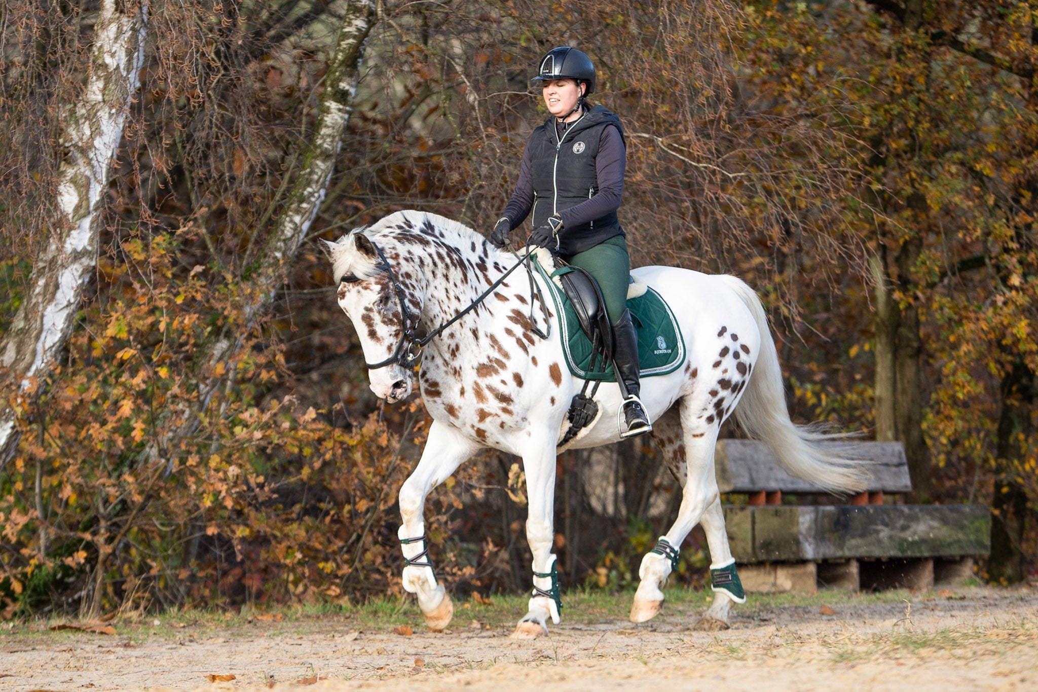 Pine Grove Saddle Pad - Equine Exchange Tack Shop