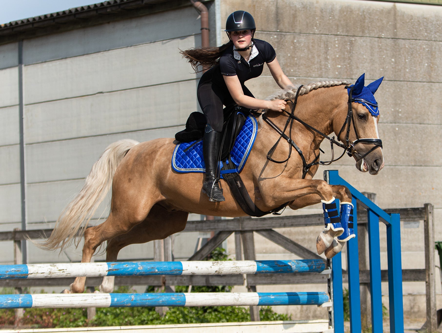 Majorelle Blue Saddle Pad Set - Equine Exchange Tack Shop