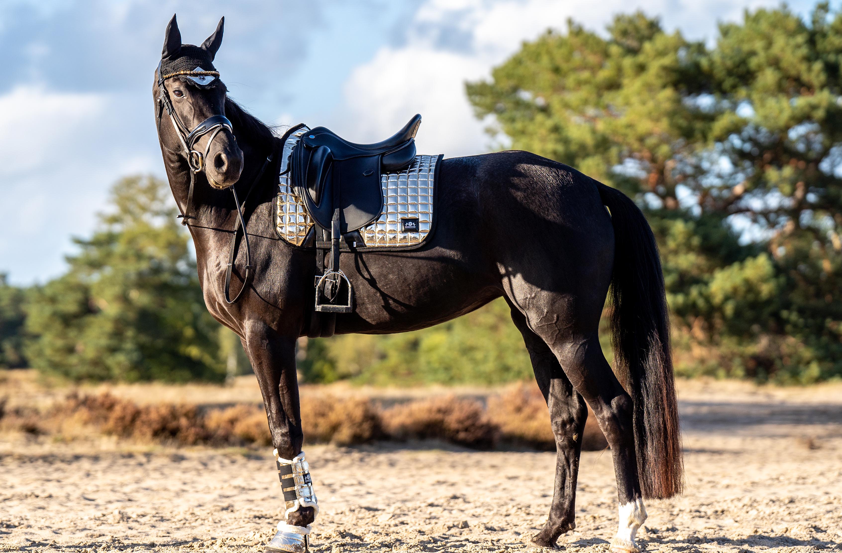 Aurum Brushing Boots - Equine Exchange Tack Shop