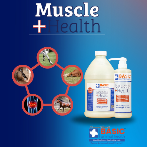 MuscleHealth Gel Supplement for Horses - Bottles - Equine Exchange Tack Shop
