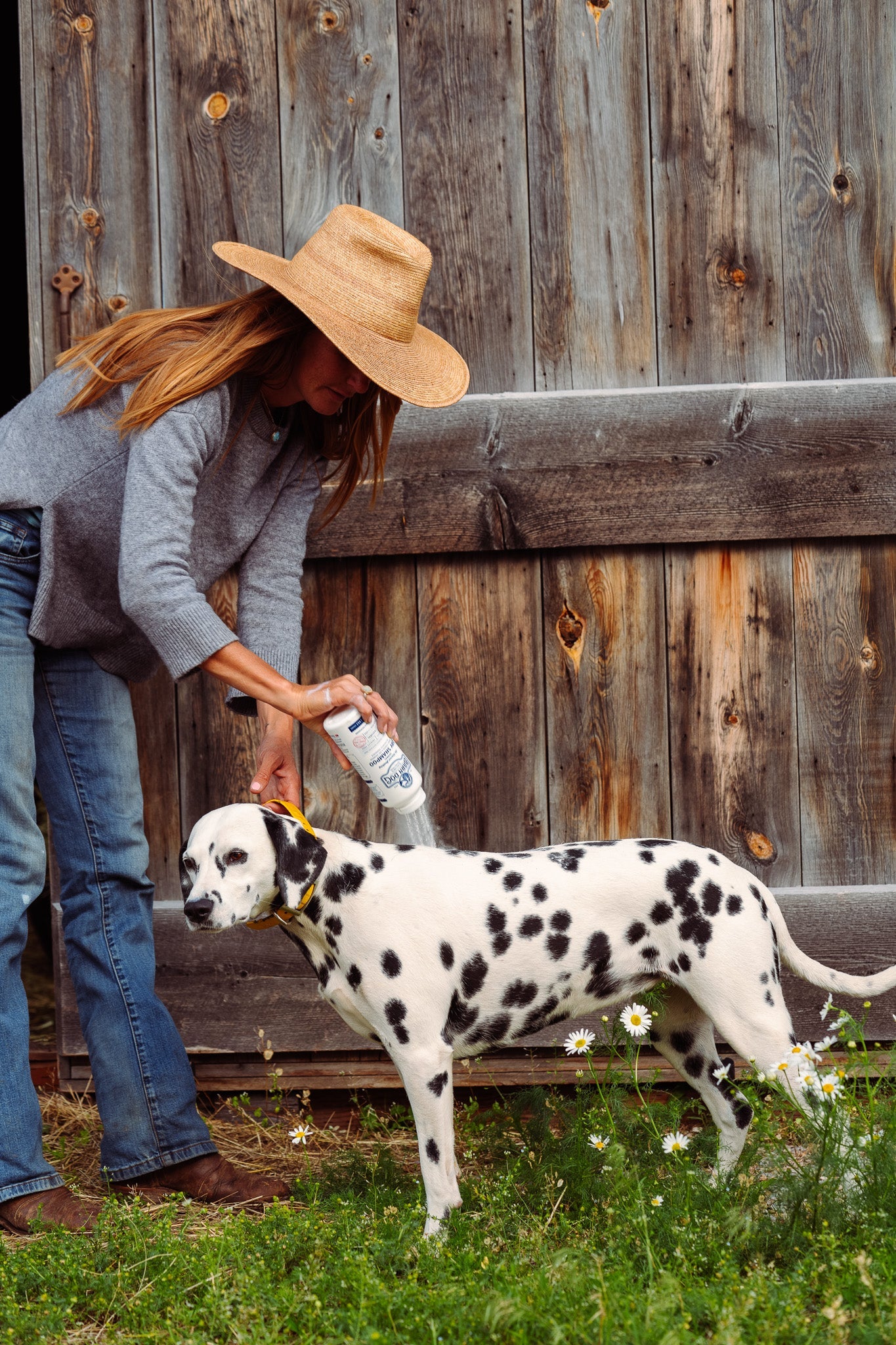 Barn Dog Dry Shampoo - Equine Exchange Tack Shop