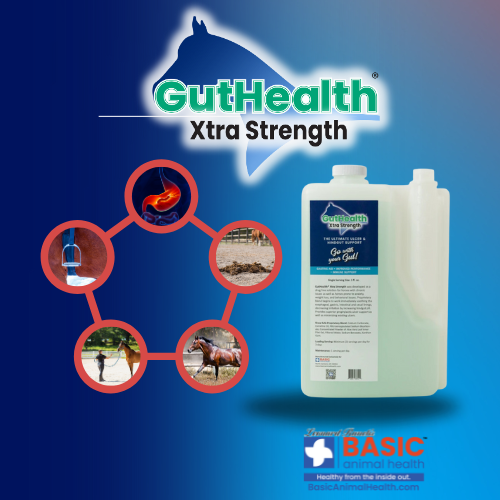 GutHealth Xtra Strength Liquid Supplement for Horses - Equine Exchange Tack Shop