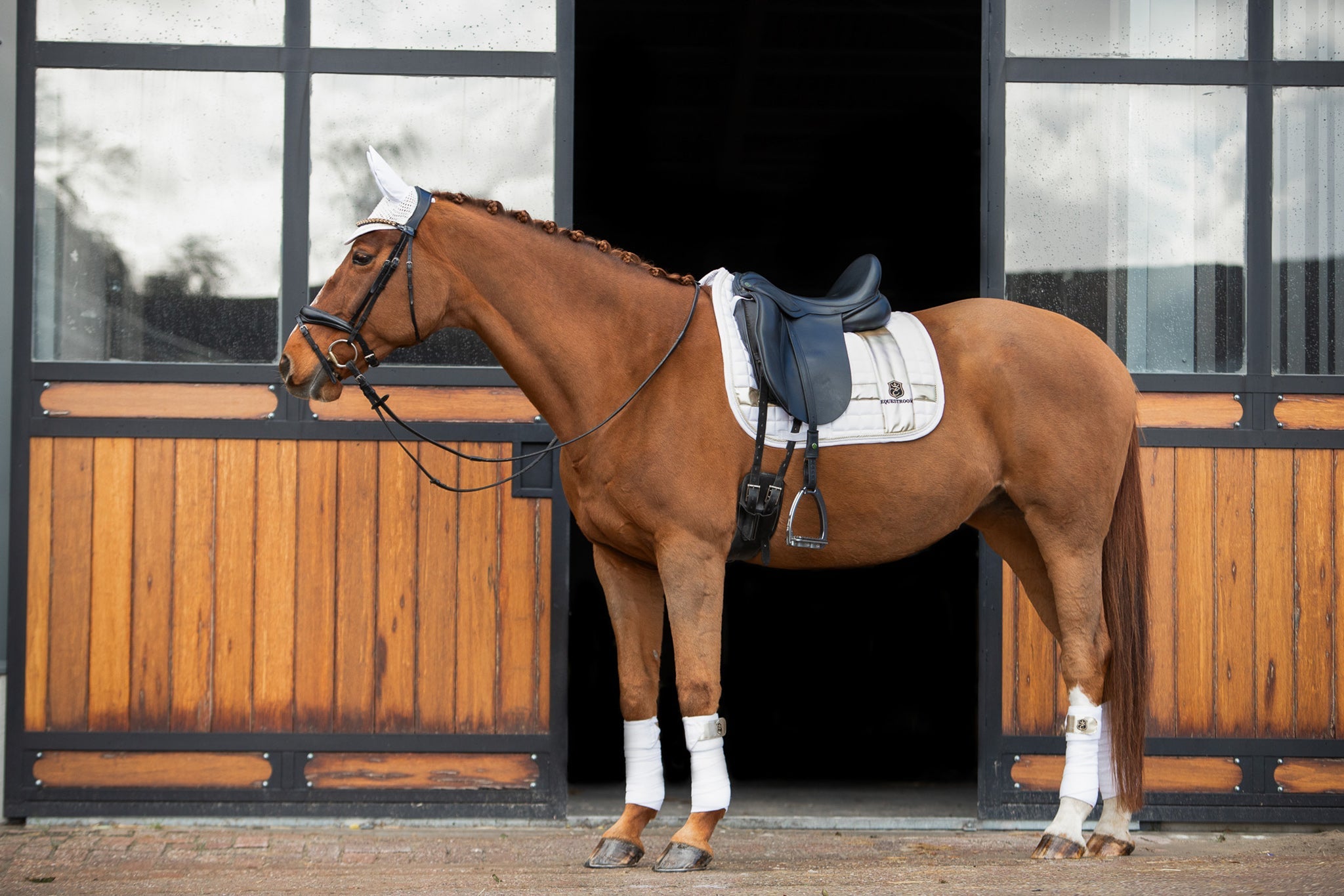 Snowlight Saddle Pad - Equine Exchange Tack Shop
