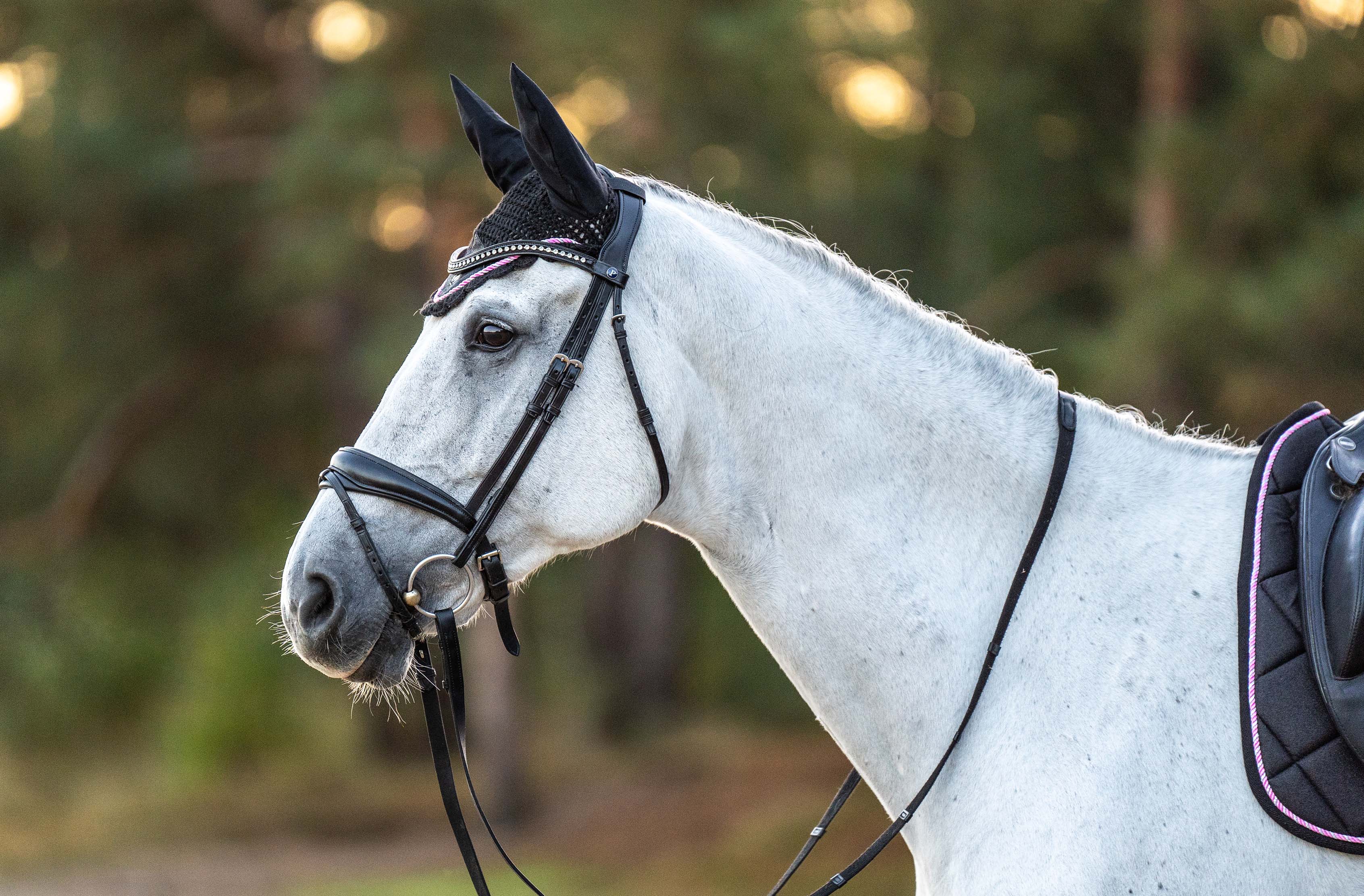 Midnight Black Fly Hat - Equine Exchange Tack Shop