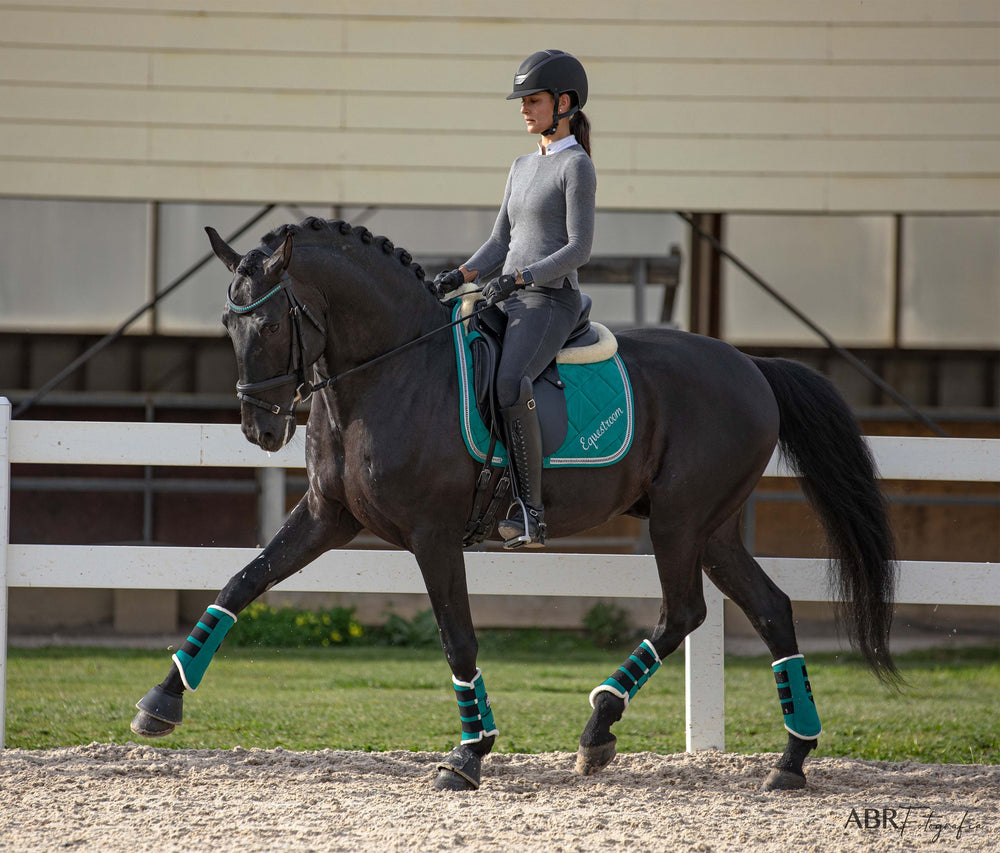 Teal Saddle Pad - Equine Exchange Tack Shop