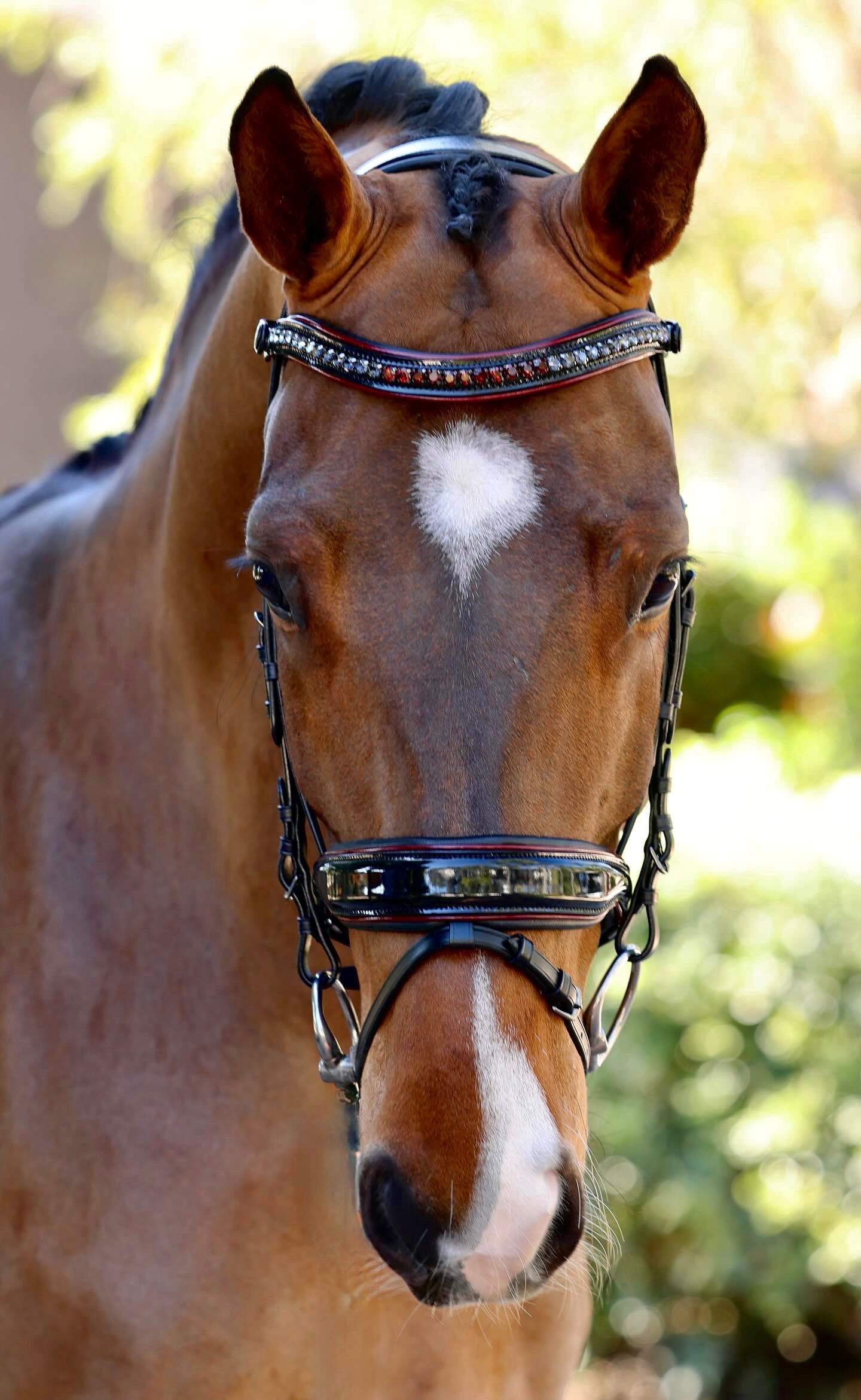The Hayworth - Black Patent Snaffle with Burgundy Patent Piping & Removable Flash - Equine Exchange Tack Shop