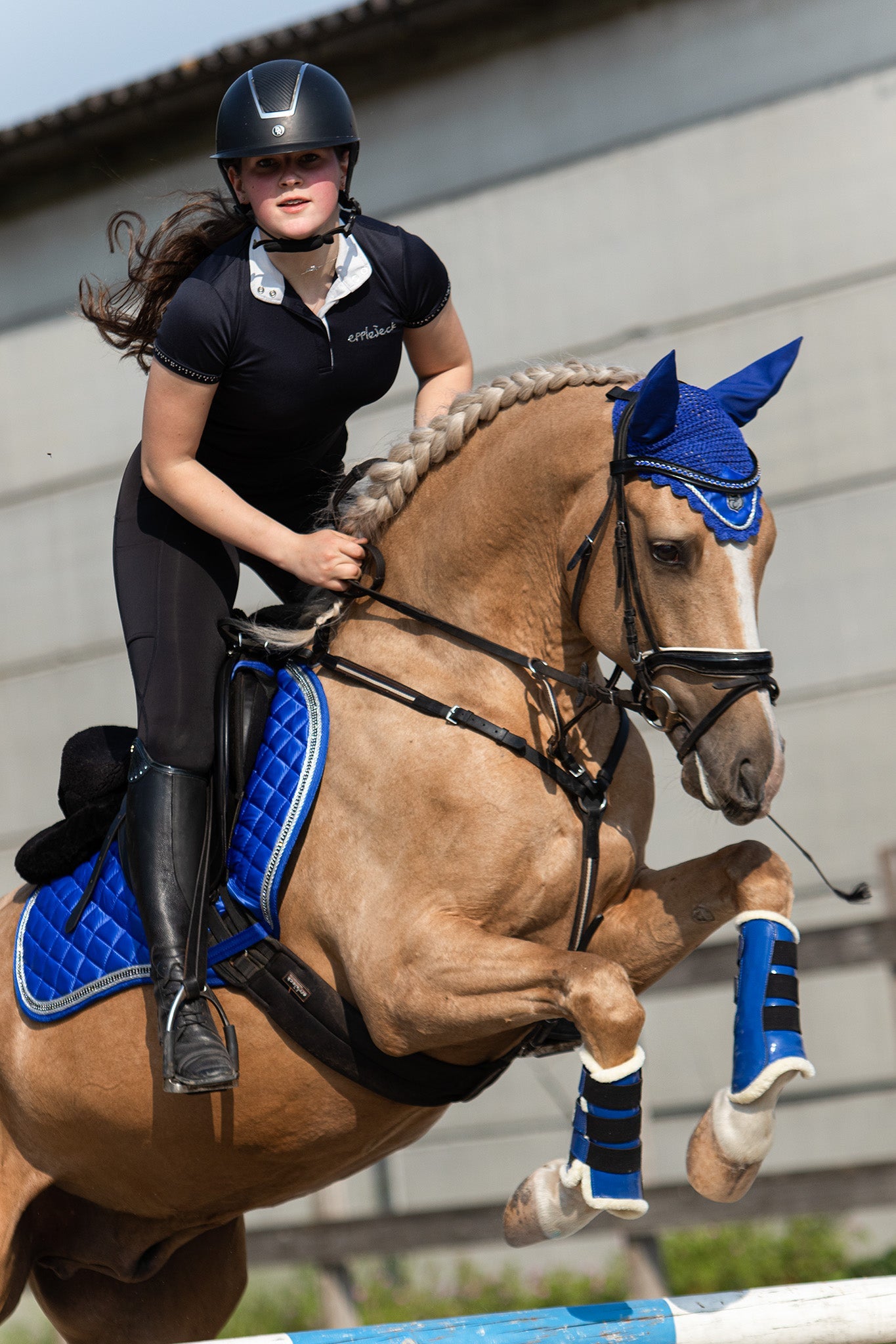 Majorelle Blue Brushing Boots - Equine Exchange Tack Shop