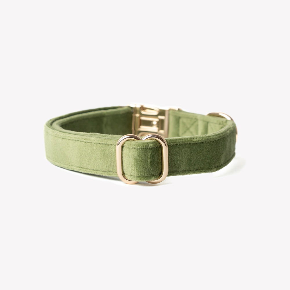 'Green' - Velvet Dog Collar - Equine Exchange Tack Shop