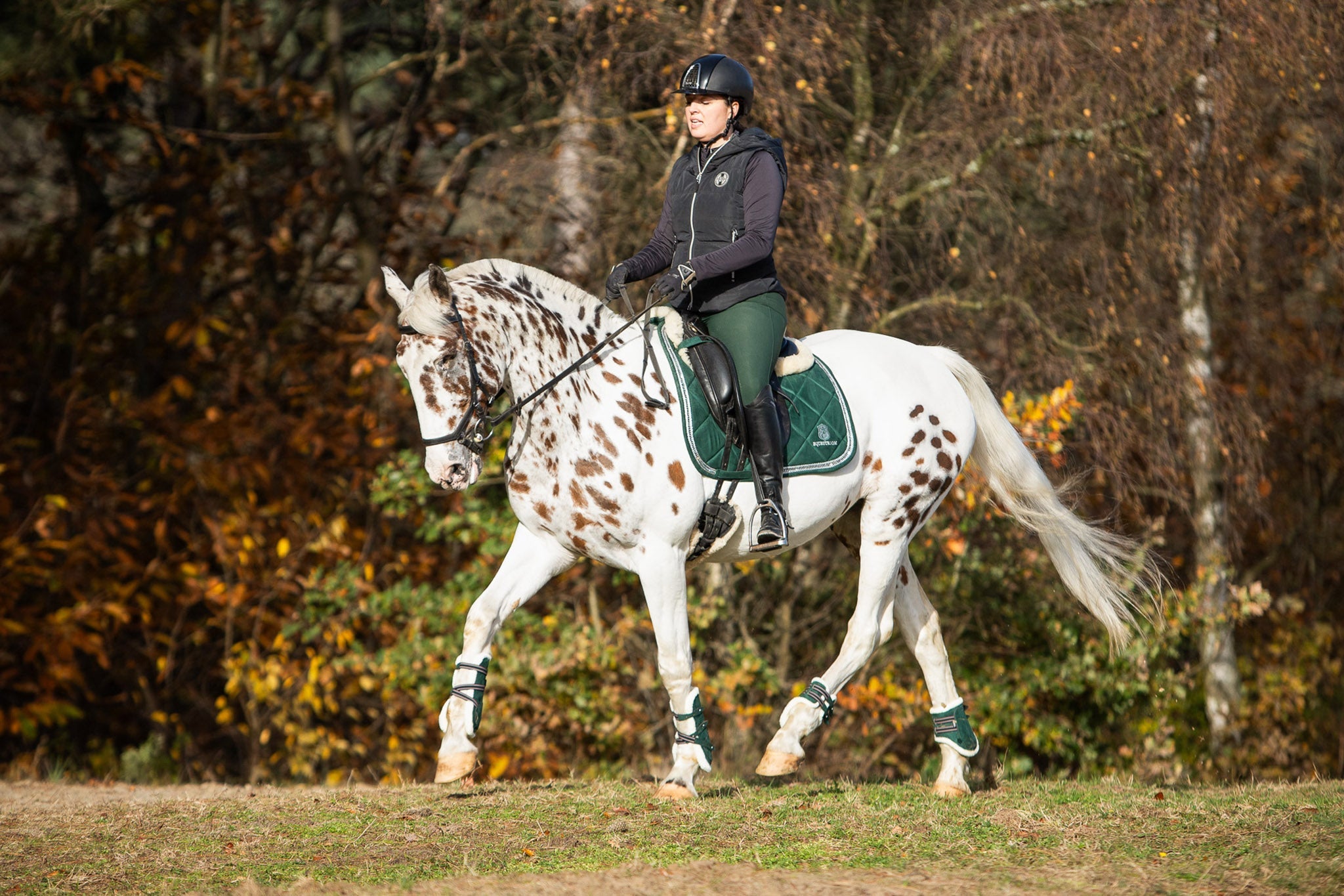 Pine Grove Saddle Pad Set - Equine Exchange Tack Shop