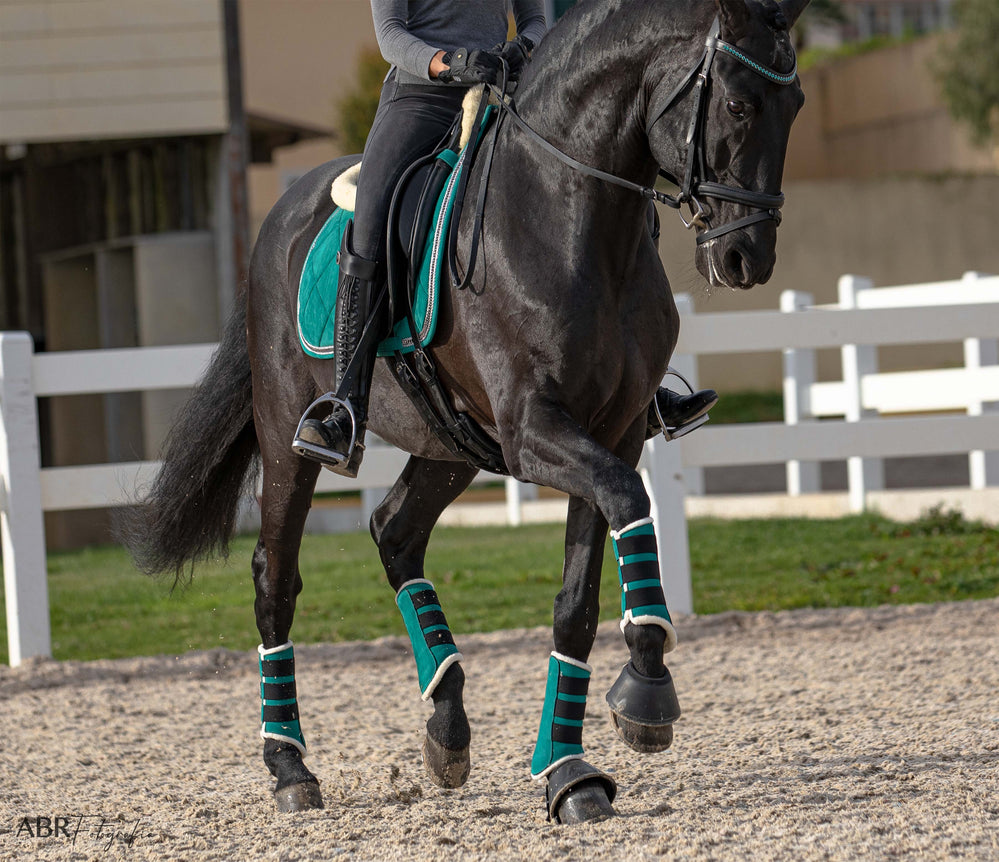 Teal Brushing Boots - Equine Exchange Tack Shop