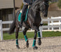 Teal Brushing Boots - Equine Exchange Tack Shop