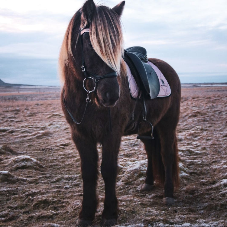 Rose Quartz Saddle Pad - Equine Exchange Tack Shop