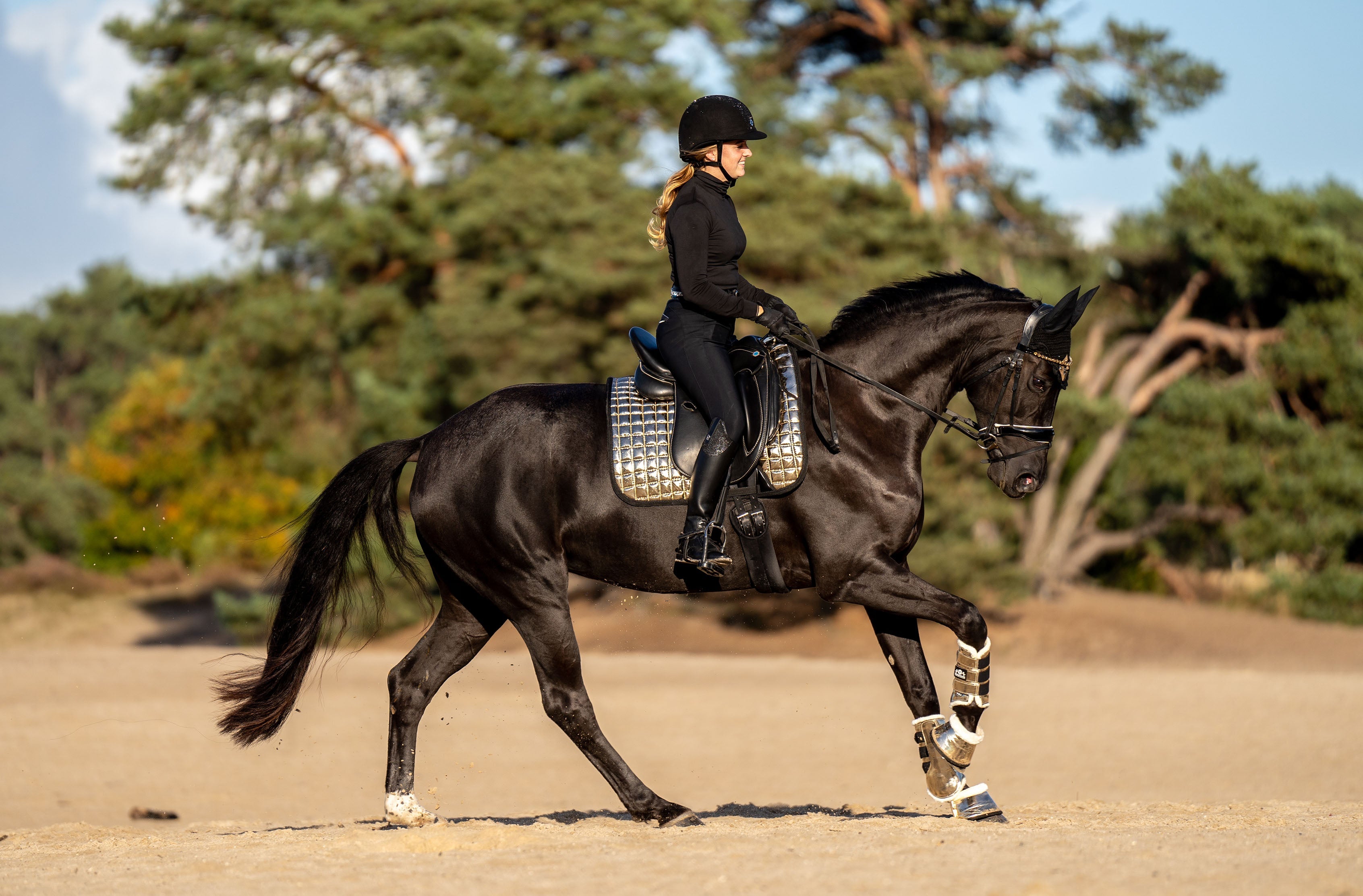 Aurum Saddle Pad - Equine Exchange Tack Shop