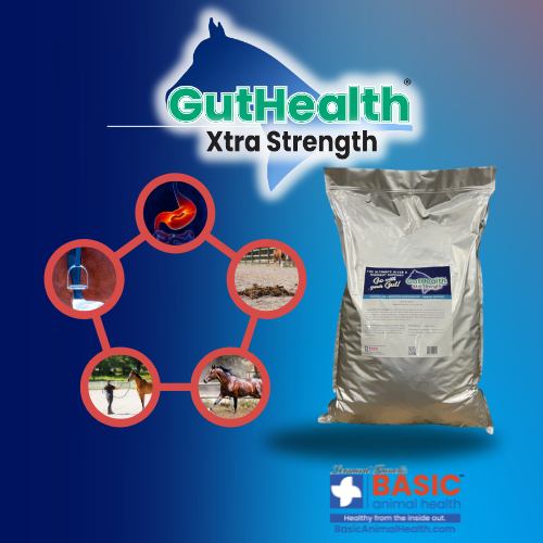GutHealth Xtra Strength Pellets Supplement for Horses - Equine Exchange Tack Shop