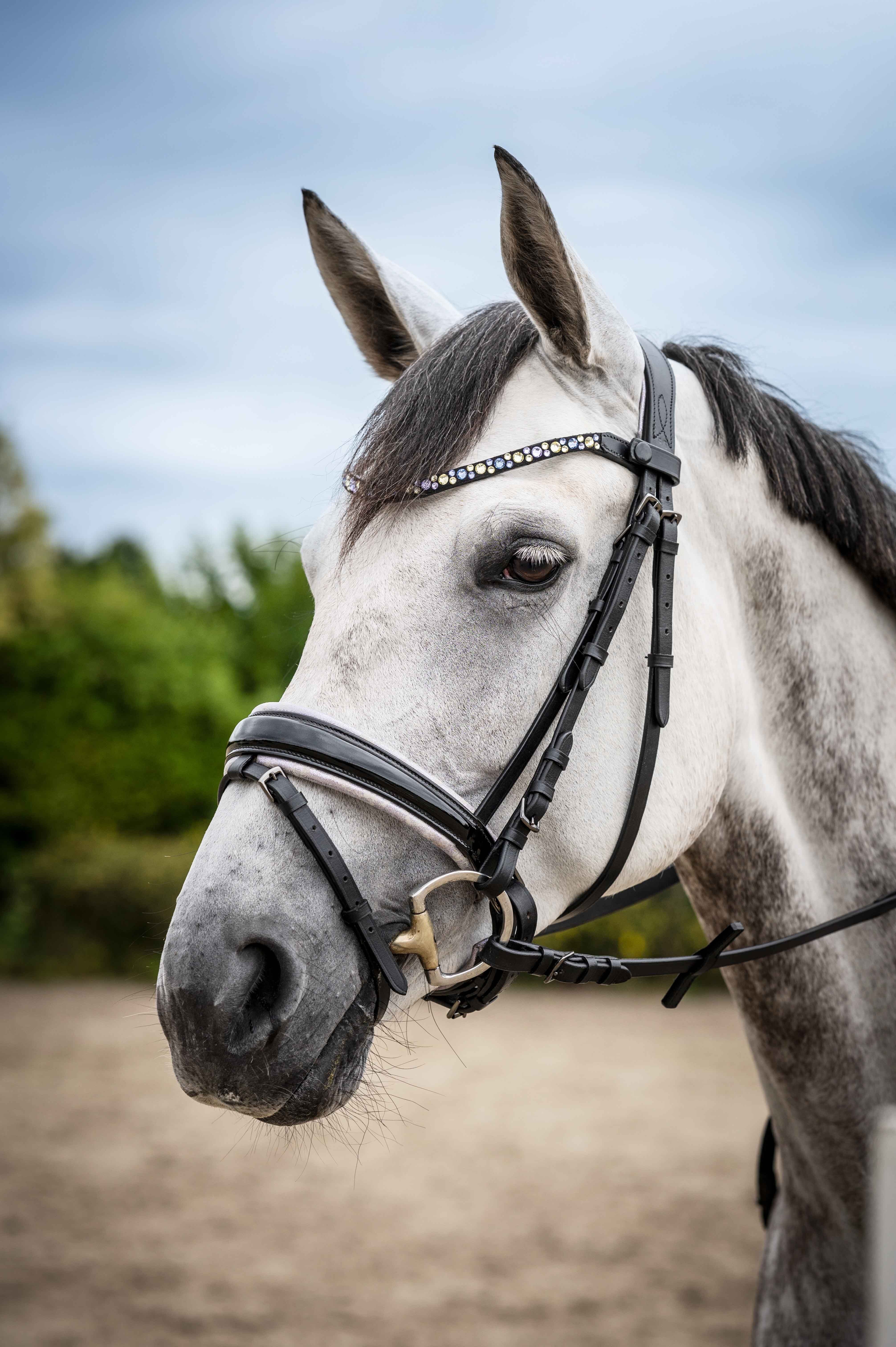 HKM Eliana Browband