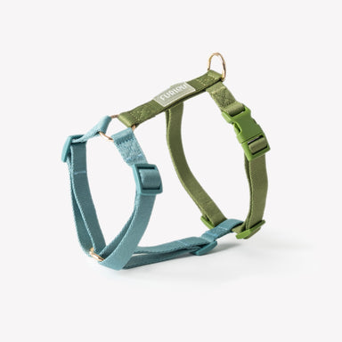 Blue and Green - Dog Harness - Equine Exchange Tack Shop