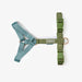 Blue and Green - Dog Harness - Equine Exchange Tack Shop