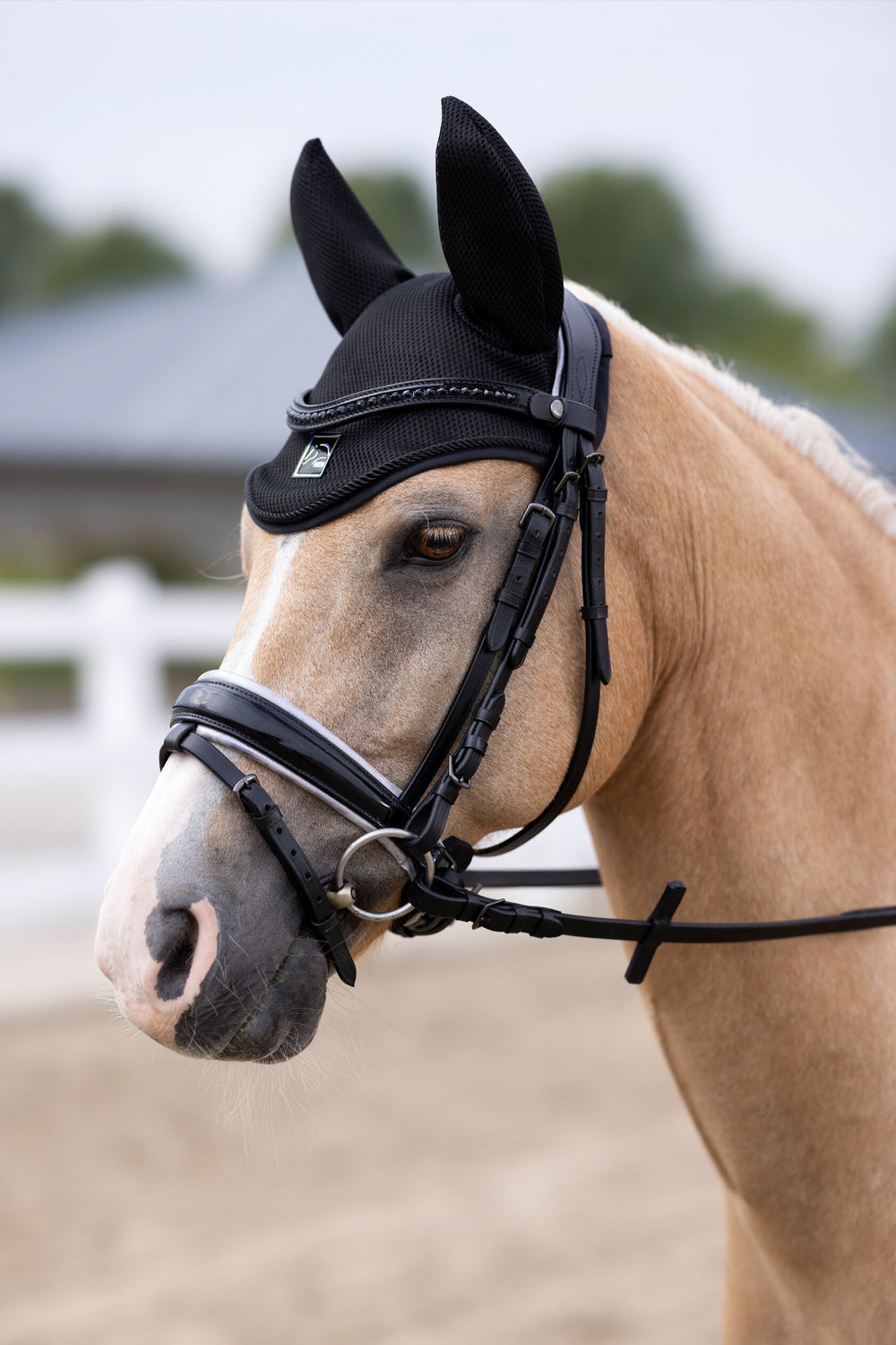 Harbor Island Mesh Ear Bonnet - Equine Exchange Tack Shop