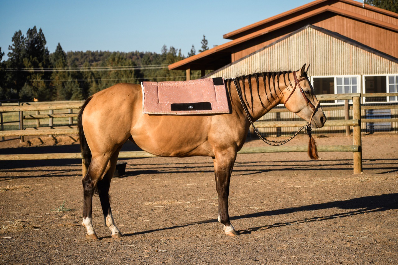 Rose Quartz Western Saddle Pad - Equine Exchange Tack Shop
