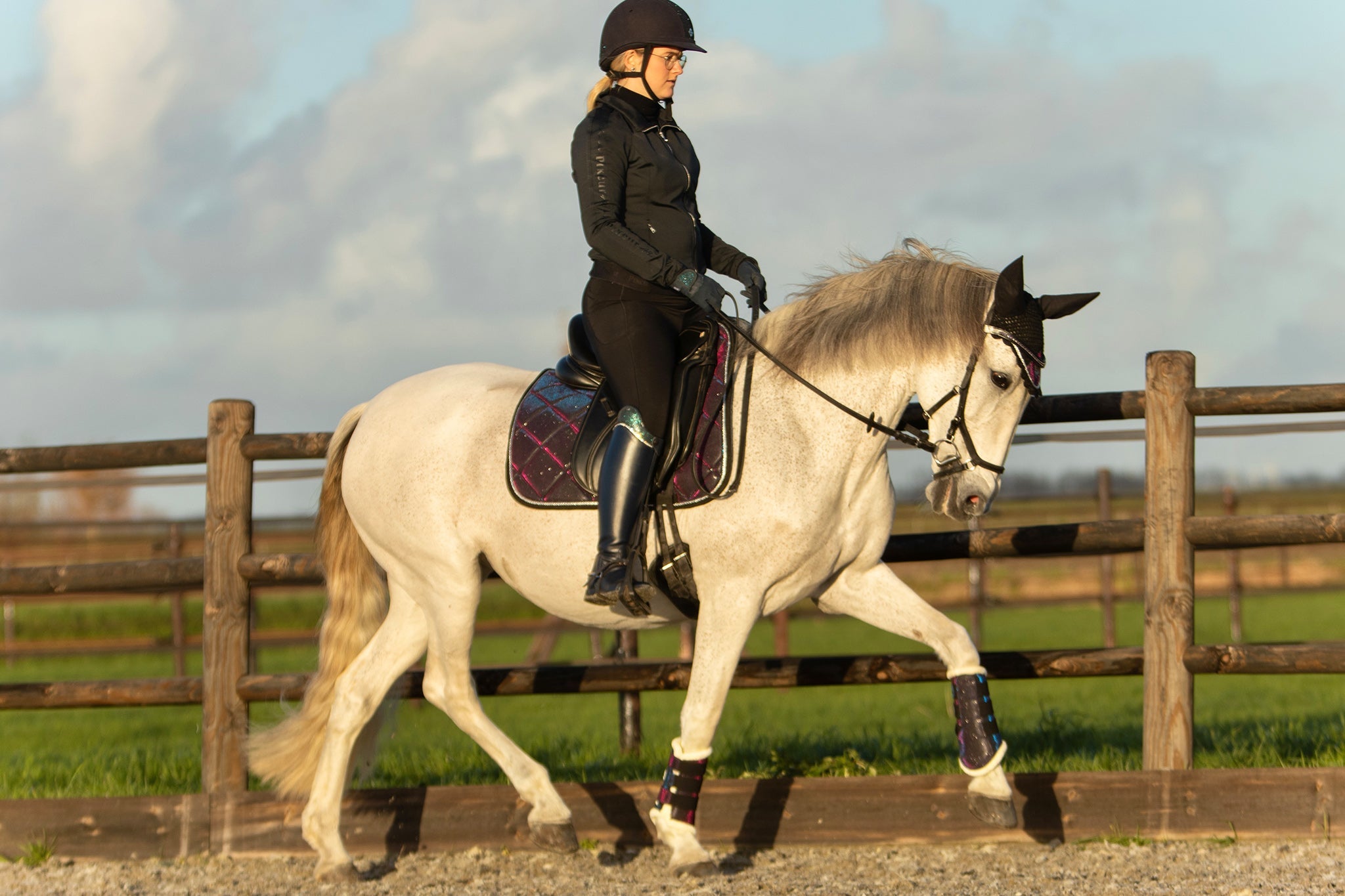 Ultraviolet Brushing Boots - Equine Exchange Tack Shop