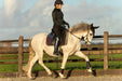 Ultraviolet Saddle Pad Set - Equine Exchange Tack Shop