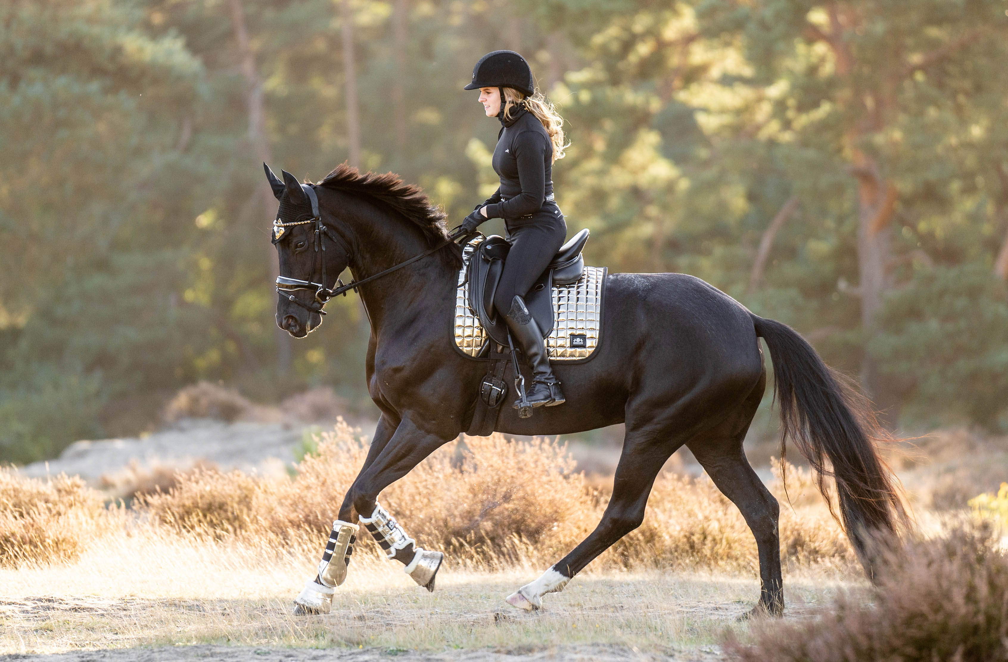 Aurum Saddle Pad - Equine Exchange Tack Shop