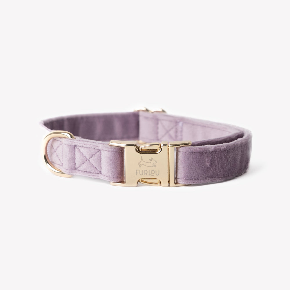 'Lilac' - Velvet Dog Collar - Equine Exchange Tack Shop