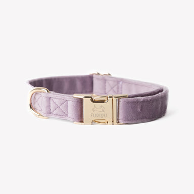 'Lilac' - Velvet Dog Collar - Equine Exchange Tack Shop