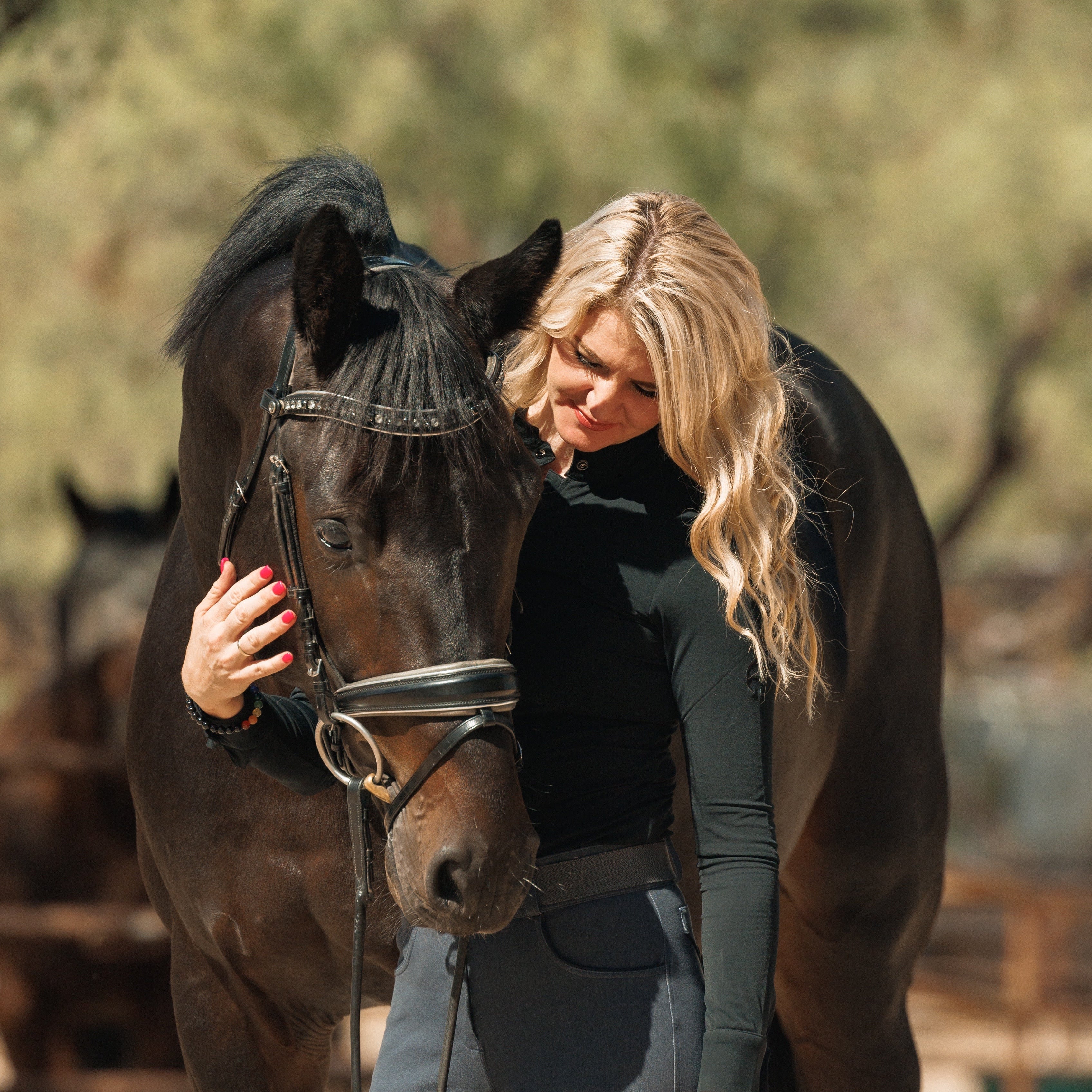 The Eiffel Tower Black Leather Dressage Bridle - Equine Exchange Tack Shop