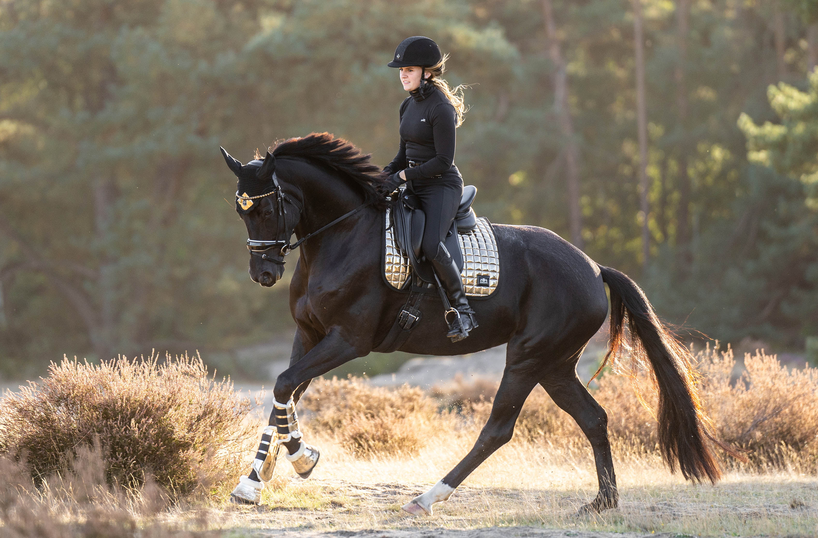 Aurum Saddle Pad Set - Equine Exchange Tack Shop
