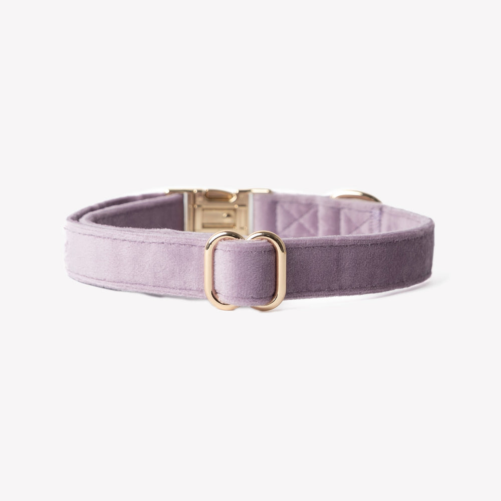 'Lilac' - Velvet Dog Collar - Equine Exchange Tack Shop
