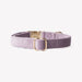 'Lilac' - Velvet Dog Collar - Equine Exchange Tack Shop