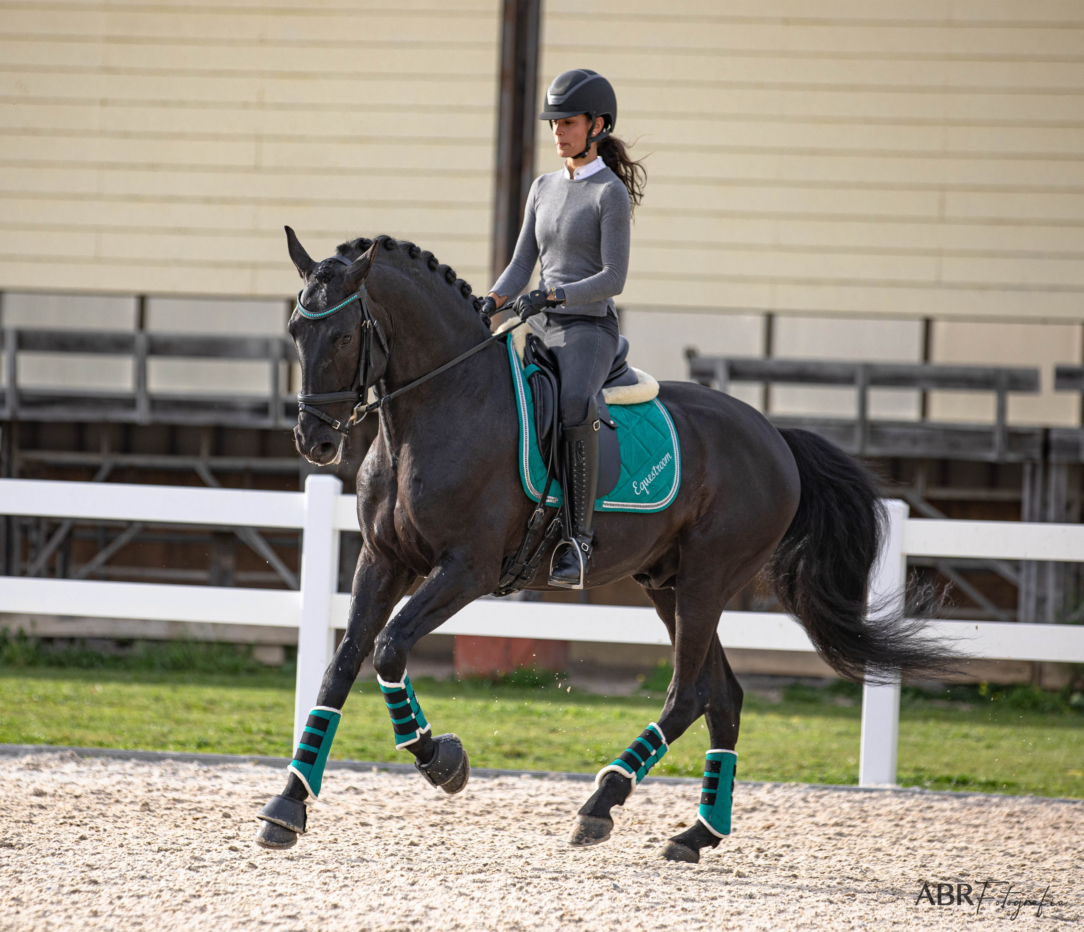 Teal Saddle Pad Set - Equine Exchange Tack Shop