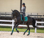 Teal Saddle Pad Set - Equine Exchange Tack Shop