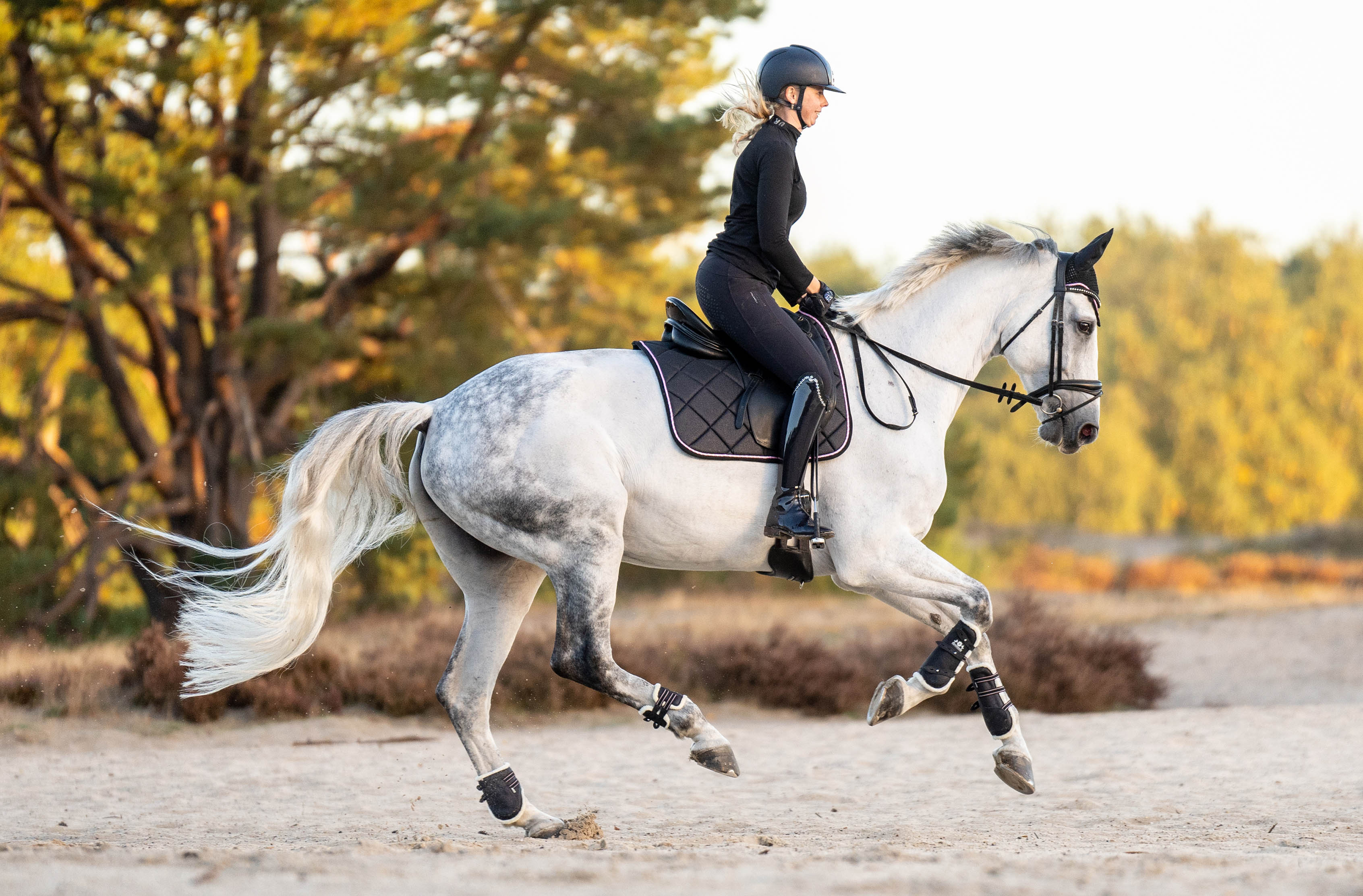 Midnight Black Open-Front Boots - Equine Exchange Tack Shop