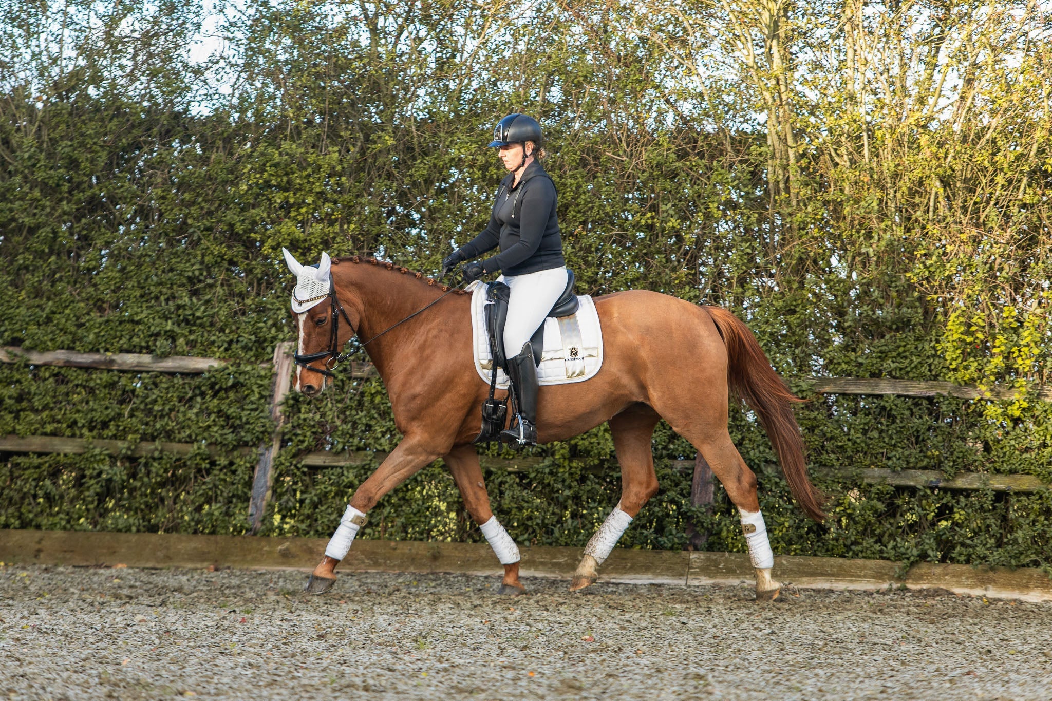 Snowlight Saddle Pad - Equine Exchange Tack Shop