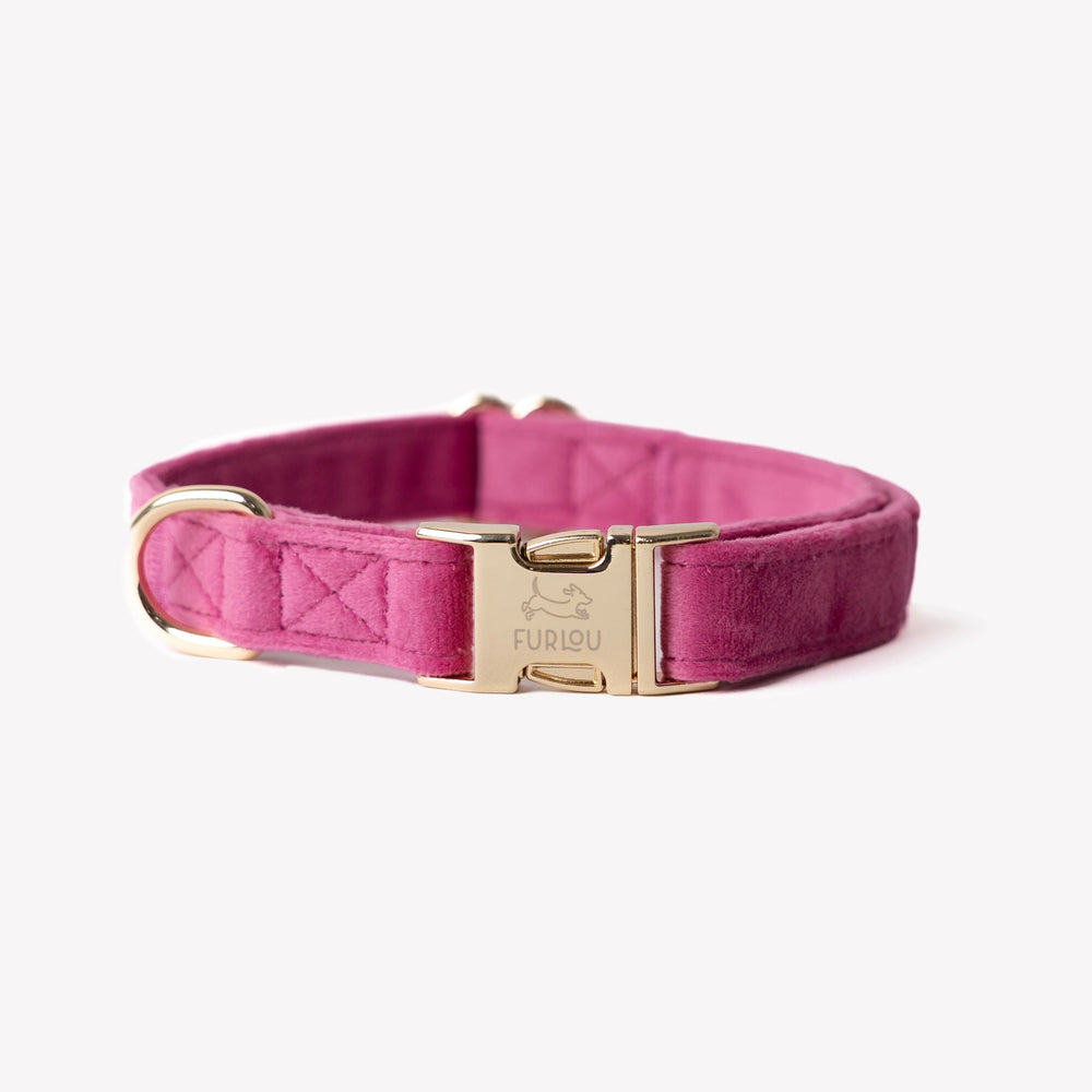 'Magenta' - Velvet Dog Collar - Equine Exchange Tack Shop