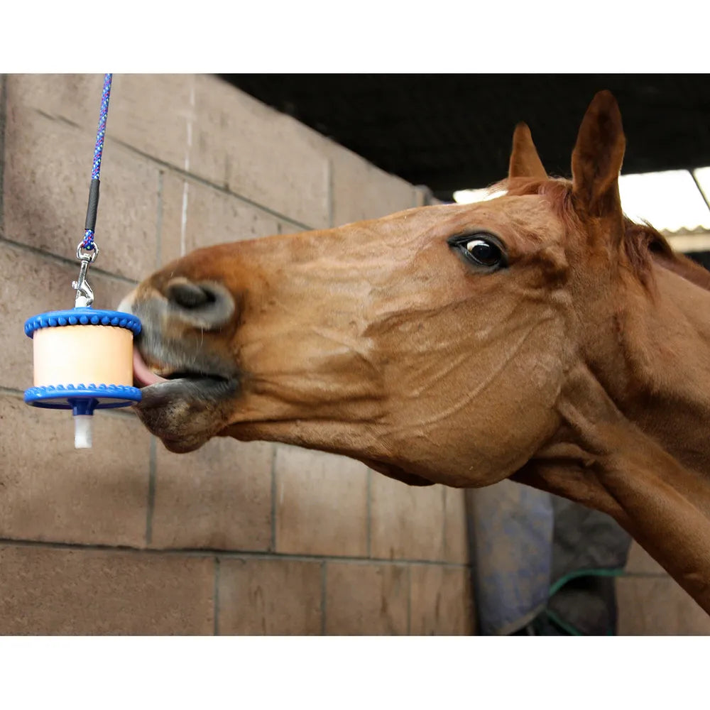 Likit Holder - Equine Exchange Tack Shop