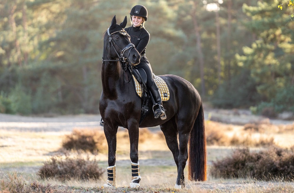 Aurum Saddle Pad Set - Equine Exchange Tack Shop