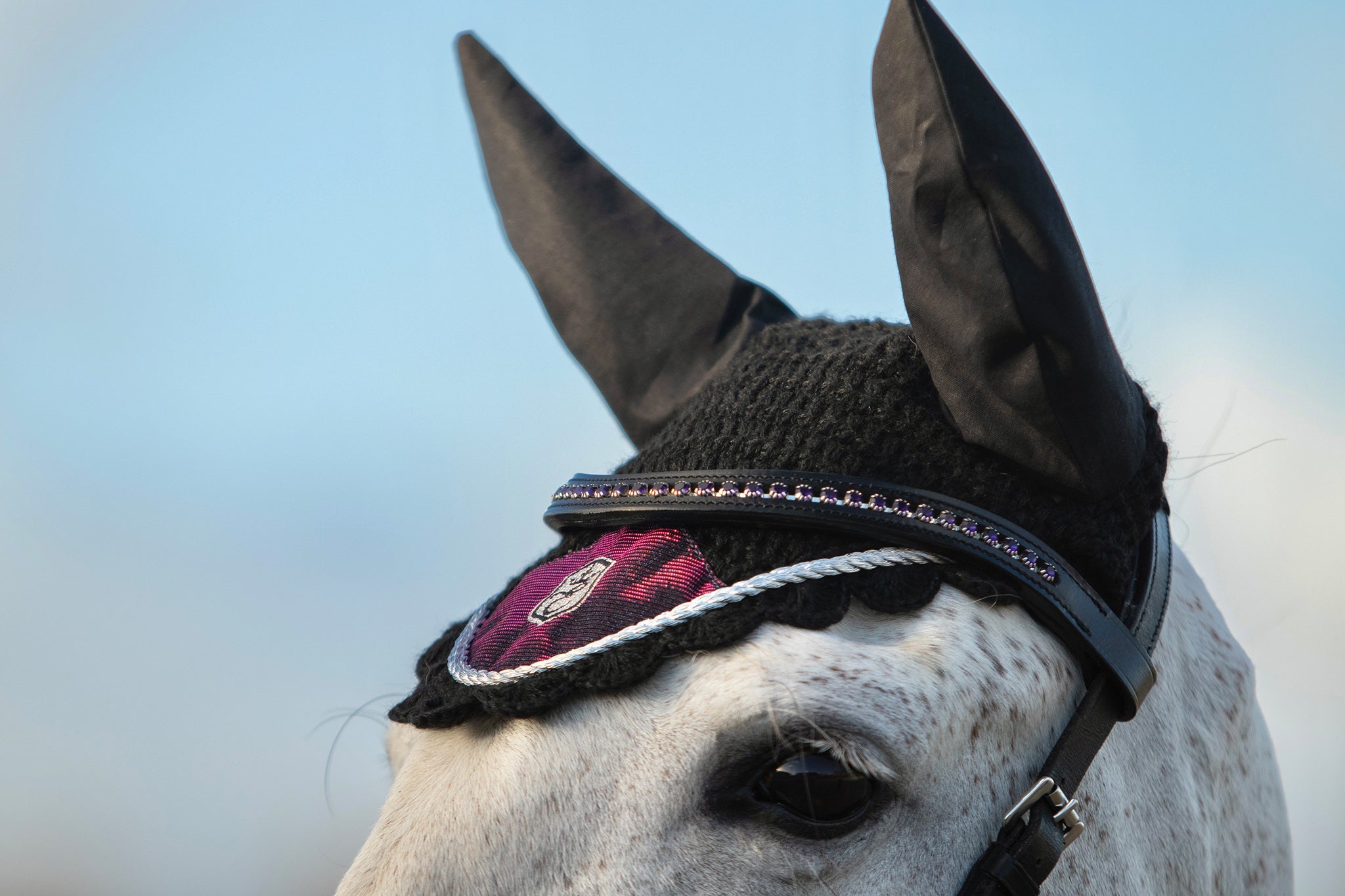 Ultraviolet Browband - Equine Exchange Tack Shop