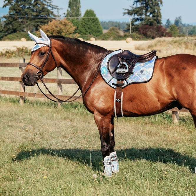 Holographic Saddle Pad - Equine Exchange Tack Shop