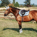Holographic Saddle Pad - Equine Exchange Tack Shop