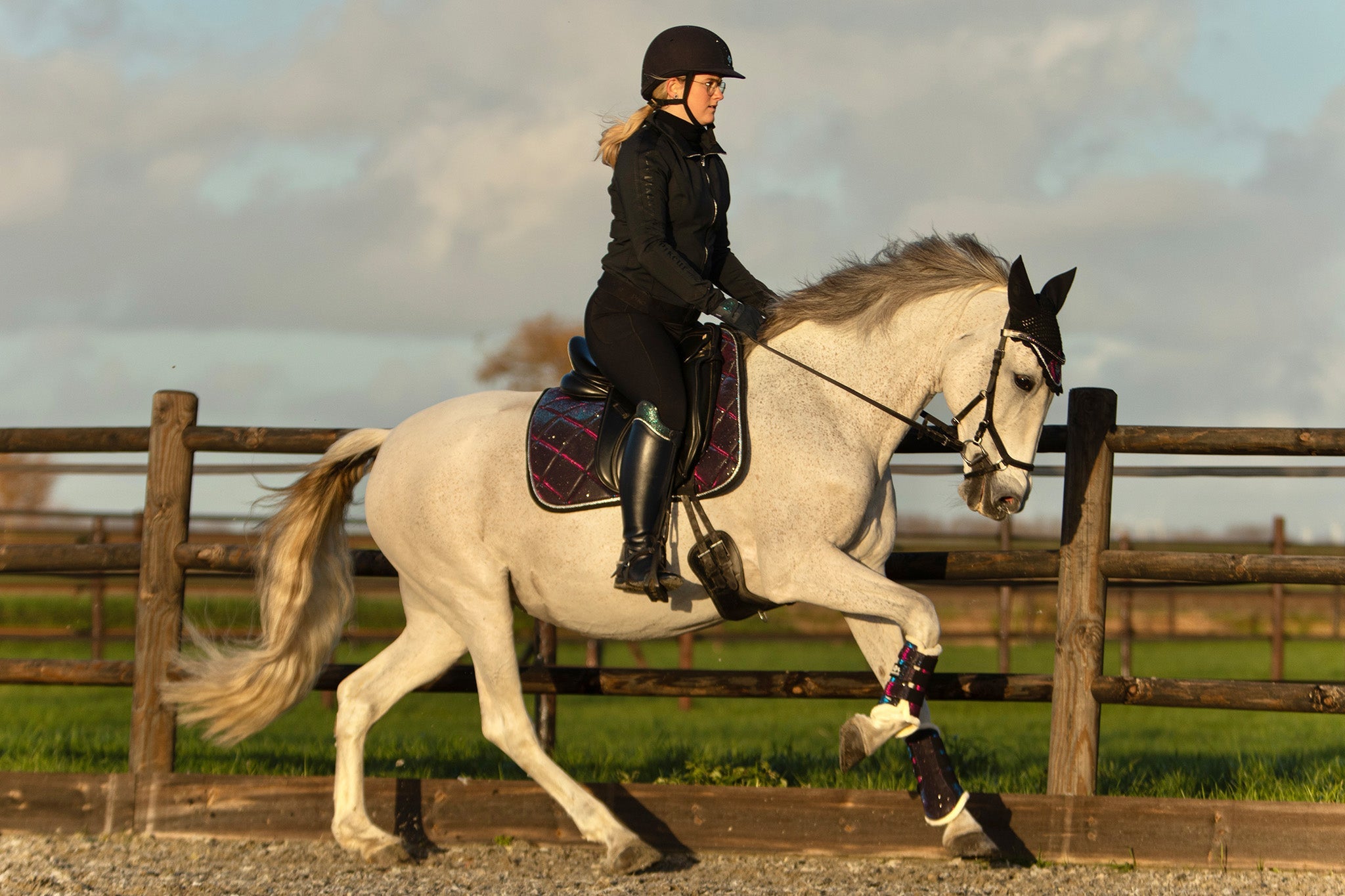 Ultraviolet Brushing Boots - Equine Exchange Tack Shop
