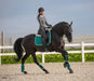 Teal Saddle Pad Set - Equine Exchange Tack Shop