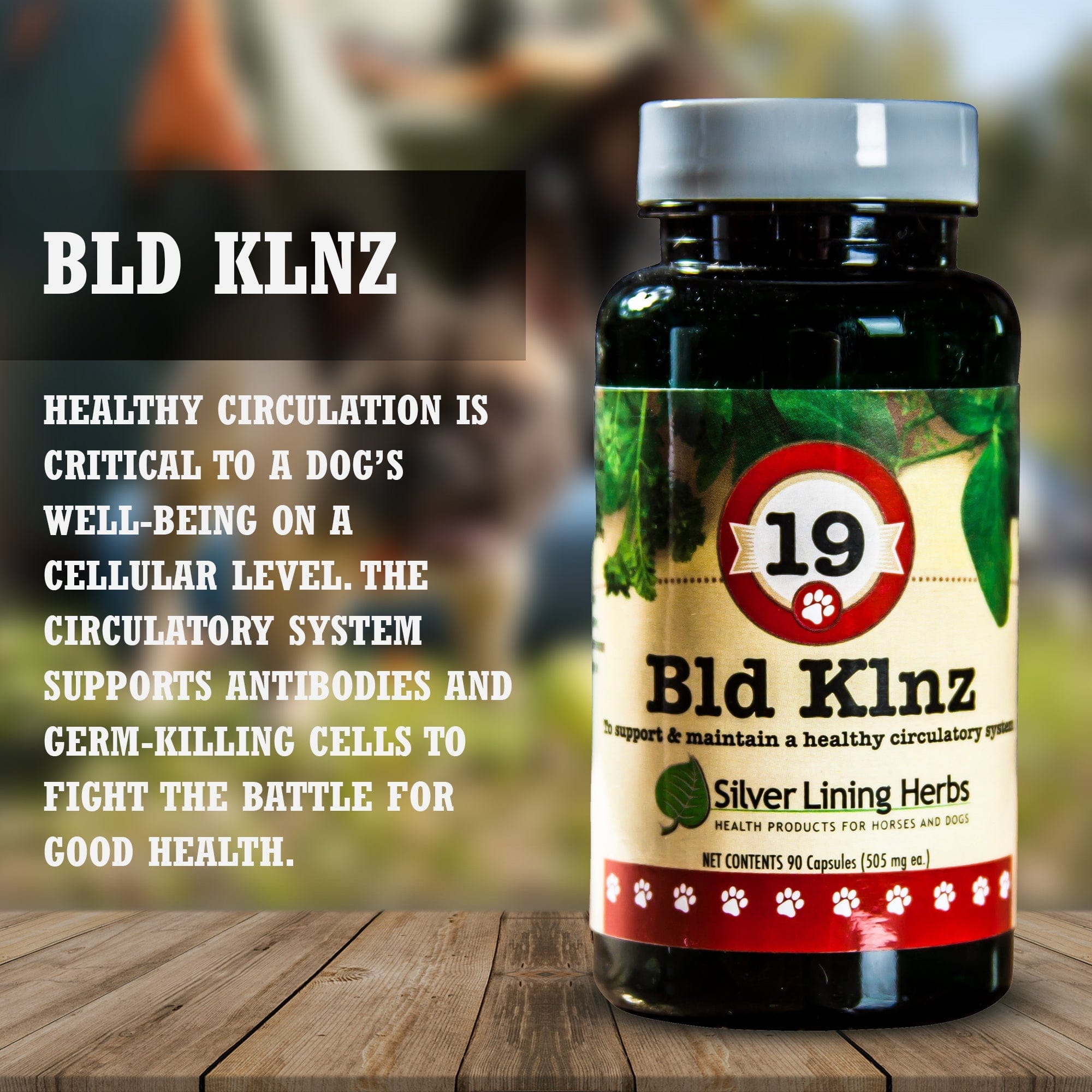 19 Bld Klnz for Canines - Equine Exchange Tack Shop