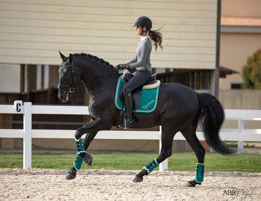Teal Saddle Pad - Equine Exchange Tack Shop