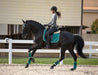 Teal Saddle Pad - Equine Exchange Tack Shop