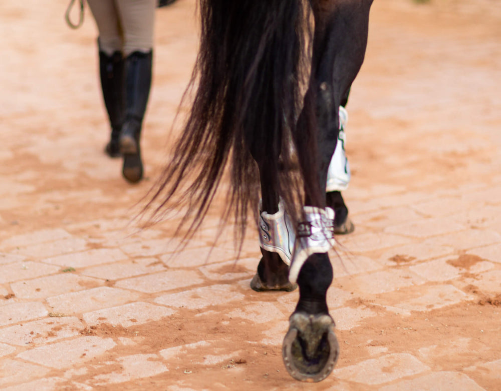 Holographic Open Front Boots - Equine Exchange Tack Shop