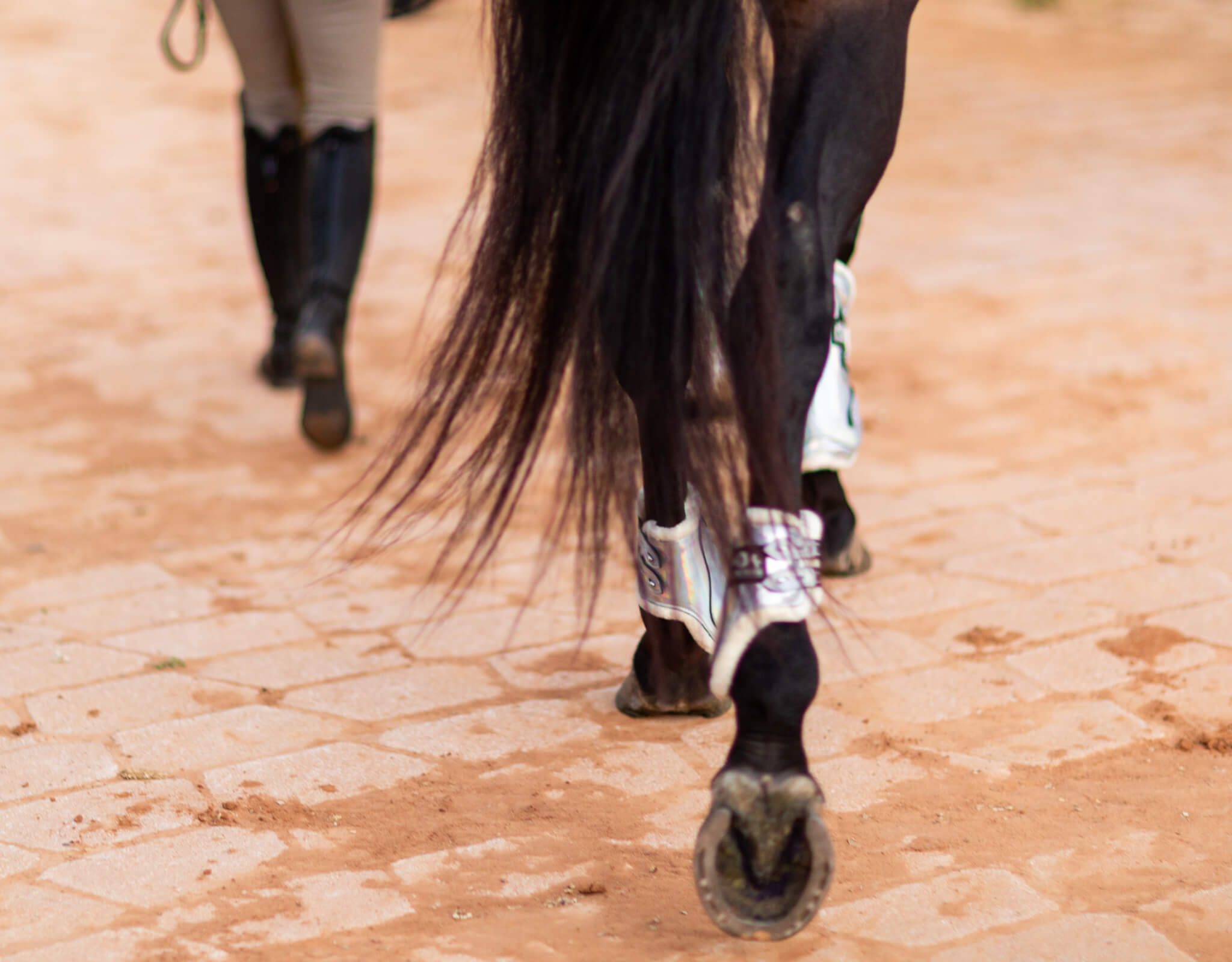 Holographic Open Front Boots - Equine Exchange Tack Shop