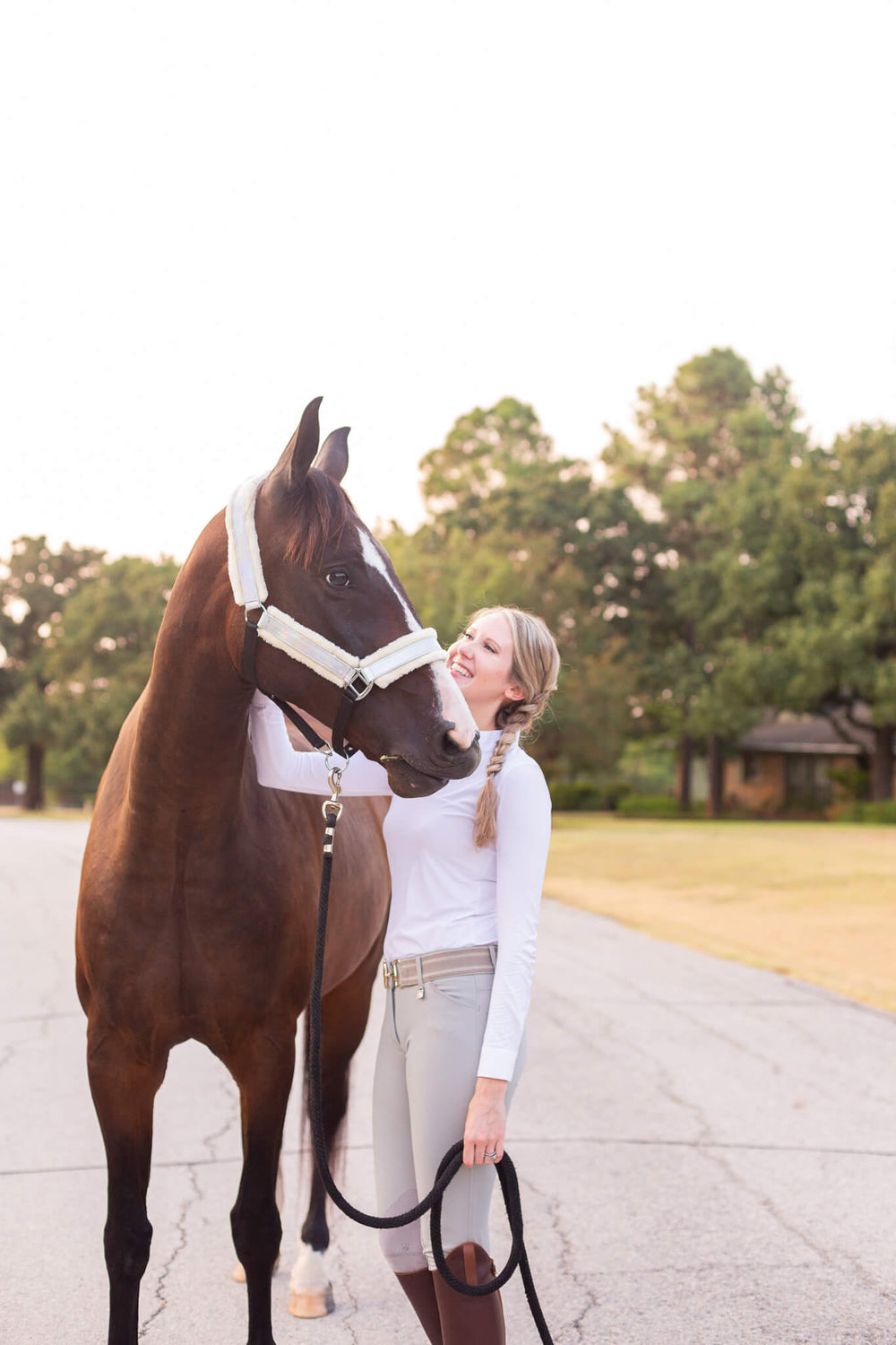 Holographic Halter - Equine Exchange Tack Shop